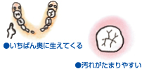 �C���X�g
